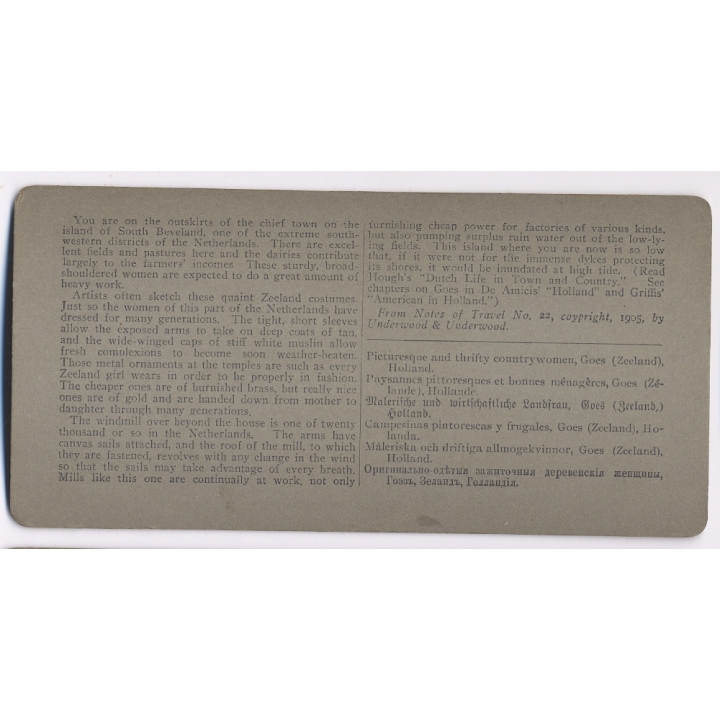 Zeeland / Netherlands: Dutch Countrywomen With Milk-Pails (Vintage Stereoscopic Photo 1900s)