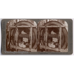 Butter Churn In An American Diary (Vintage Stereoscopic Photo 1900s)