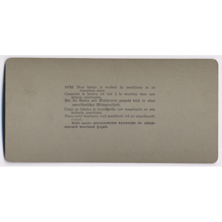 Butter Churn In An American Diary (Vintage Stereoscopic Photo 1900s)