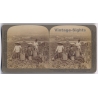 Japan: Peasants Fertilizing Sweet Potato Crop (Vintage Stereoscopic Photo 1900s)