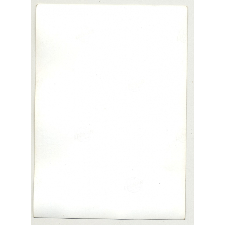 Petite Nude With 60s Haircut / Small Breast - Interior (Vintage Photo B/W DDR  ~1960s)