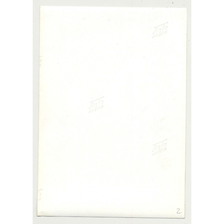 Cute Topless Woman In Panties / Mirror - Boobs (Vintage Photo B/W DDR  ~1960s)