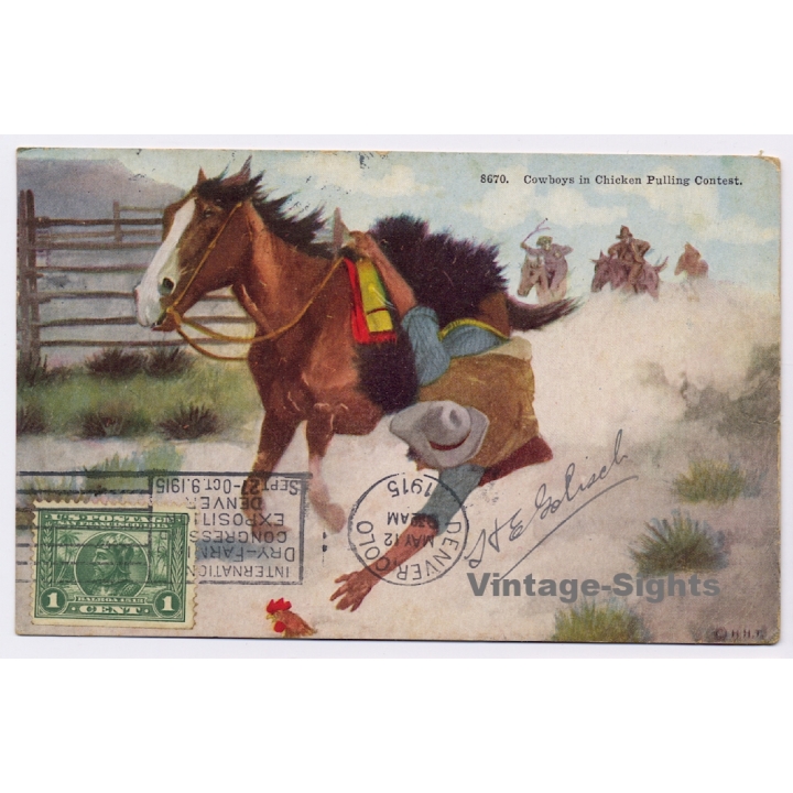 Cowboys In Chicken Pulling Contest (Vintage PC 1915)