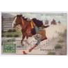 Cowboys In Chicken Pulling Contest (Vintage PC 1915)