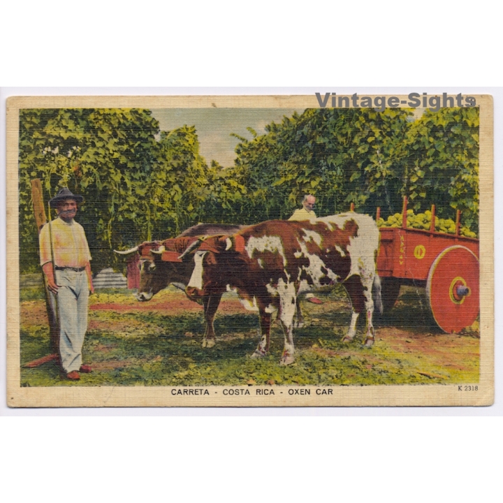 Costa Rica: Carreta - Oxen Car (Vintage PC 1954)