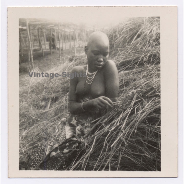 Belgian Congo: Portrait Of Topless Indigenous Female / Ethnic Nude (Vintage Photo ~1930s/1940s