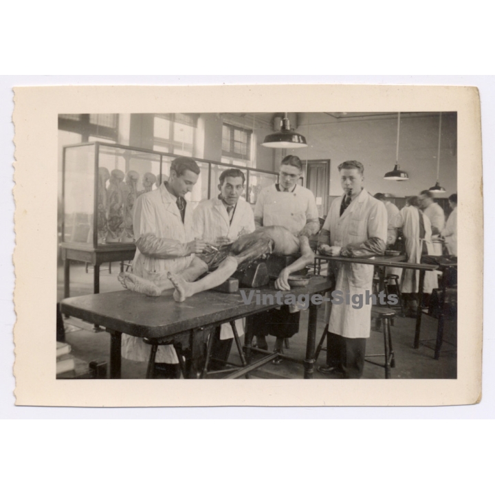 Medical Students During Cadaver Autopsy *2 (Vintage Photo ~1920s/1930s)