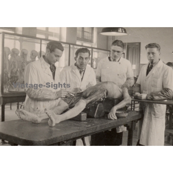Medical Students During Cadaver Autopsy *2 (Vintage Photo ~1920s/1930s)