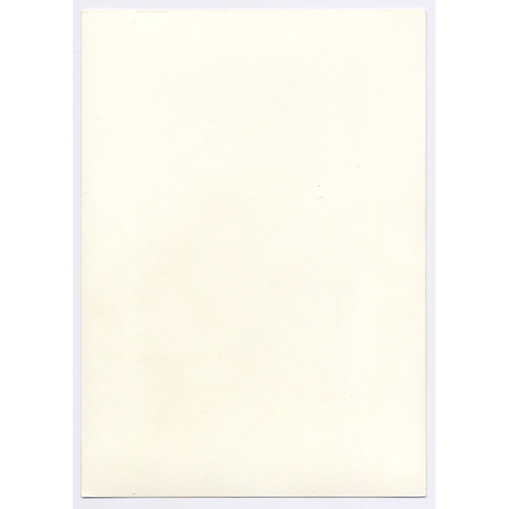 Erotic Study: Natural Chubby Dark-Haired Nude*2 / Standing (Vintage Photo GDR ~1980s)