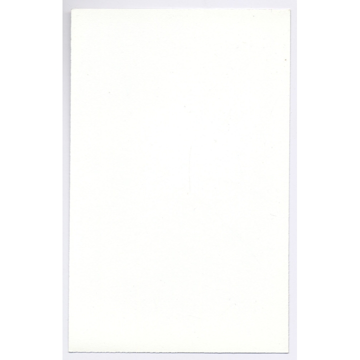 Erotic Study: Natural Blonde Nude In Nylons & Suspenders (Vintage Photo GDR ~1980s)