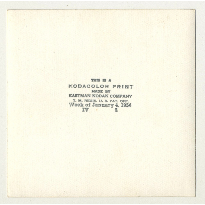 Congo: Colonial Hunter Gets Carried In Palanquin /Rifle (Vintage Photo 4.1.1954)