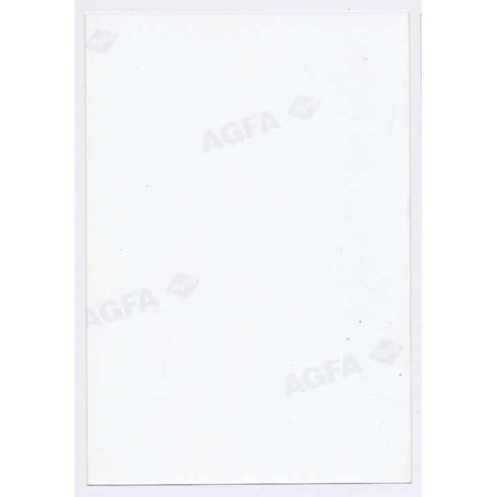 Erotic Study: Busty Blonde Nude Curlyhead With Blue Eyes*11 (Vintage Photo Germany ~1990s)