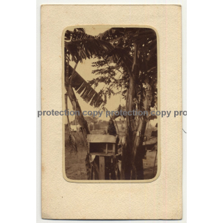 Congo: Monkey Sits On Wooden Cage / Banana Plants  (Vintage RPPC 39 Lavis B Canson)