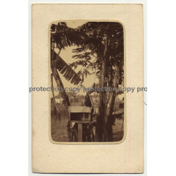 Congo: Monkey Sits On Wooden Cage / Banana Plants  (Vintage RPPC 39 Lavis B Canson)