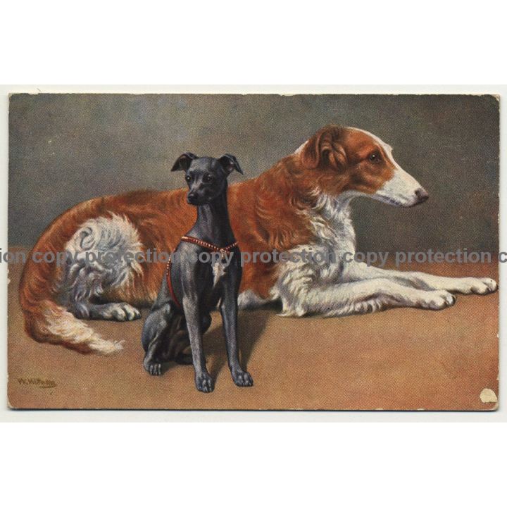 Portrait Of 2 Dogs (Vintage Artist Postcard: Egemes Serie 90)