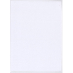 Erotic Study: Natural Nude From East Germany*5 (Large Digital Photo 29x20 CM ~2000s)
