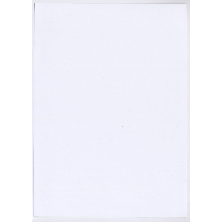 Erotic Study: Natural Nude From East Germany*5 (Large Digital Photo 29x20 CM ~2000s)