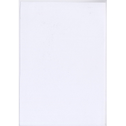 Erotic Study: Natural Nude From East Germany*6 (Large Digital Photo 30x20 CM ~2000s)