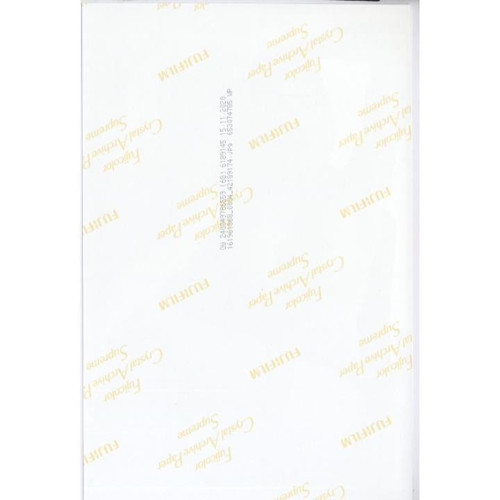 Artistic Erotic Study: Busty Classic Nude *1 / Nylons (Large Digital Photo 30x20 CM ~2000s)