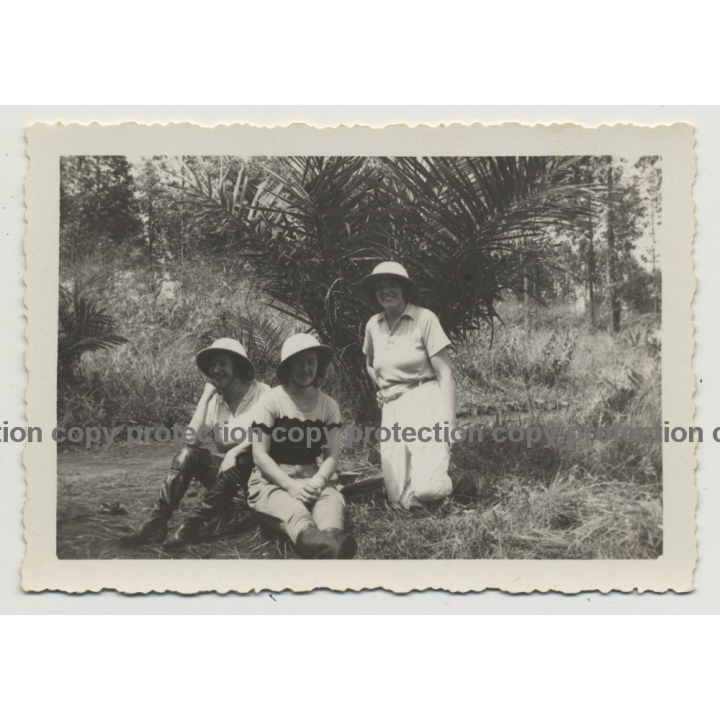 Congo / Africa: 3 Happy Colonial Wifes In Front Of Palm Tree (Vintage Photo B/W ~1930s/1940s)