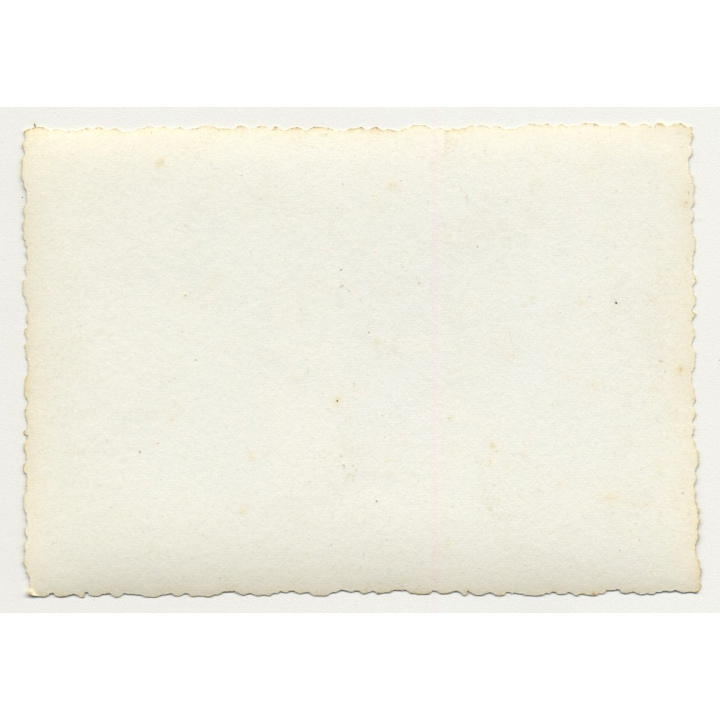 Congo / Africa: 3 Happy Colonial Wifes In Front Of Palm Tree (Vintage Photo B/W ~1930s/1940s)