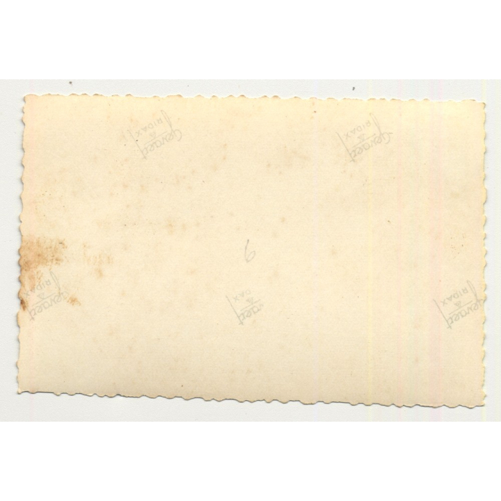 Congo / Africa: Meeting Of Colonialsts & Local Delegates (Vintage Photo B/W ~1930s/1940s)