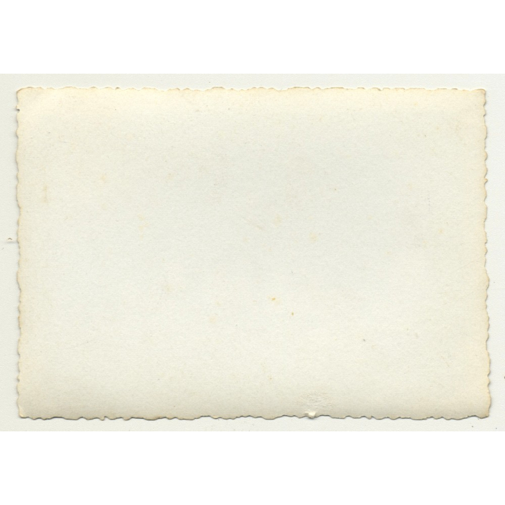 Congo / Africa: Colonial Delegation Rests In Tent / Dog (Vintage Photo B/W ~1930s/1940s)