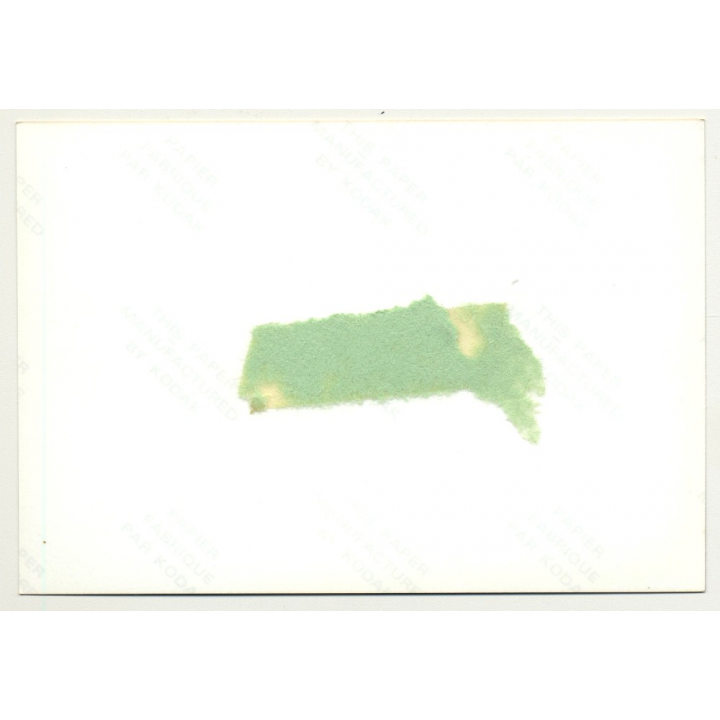 Upper Half Of Petite Nude In Front Of Steel Wall / Nude Art (Vintage Photo DDR ~1980s)