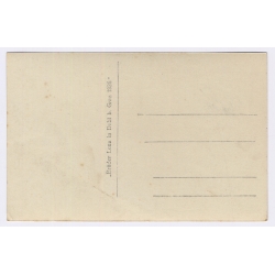 Obertraun / Austria: Panorama View & Mountains (Vintage RPPC 1926)