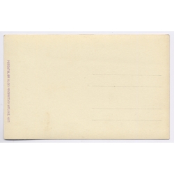 Aflenz / Steiermark: Total View (Vintage RPPC 1927)