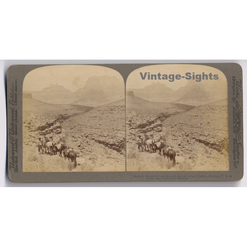 Arizona: The Trail Into The Grand Canyon (Vintage Stereoscopic Photo 1900s)