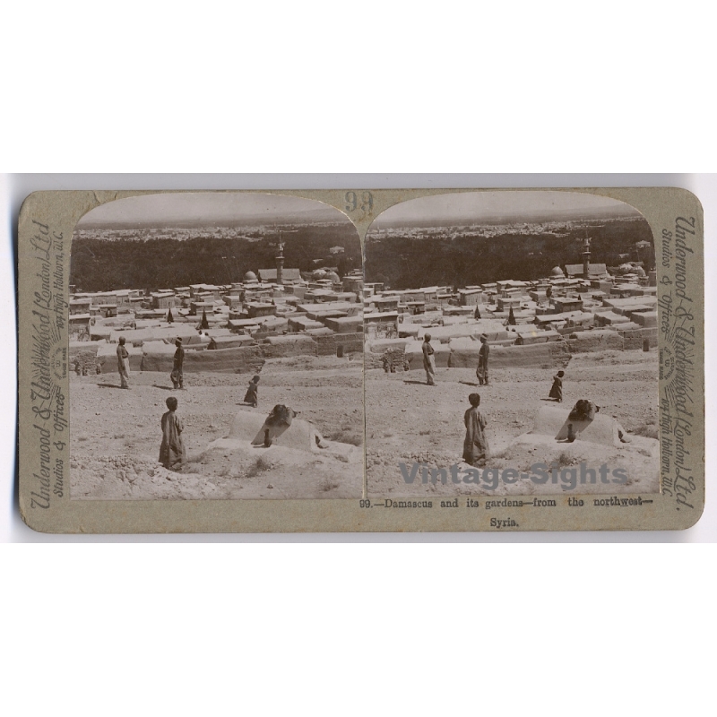 Syria: Damascus And It's Gardens (Vintage Stereoscopic Photo 1900s)