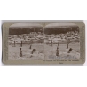 Syria: Damascus And It's Gardens (Vintage Stereoscopic Photo 1900s)