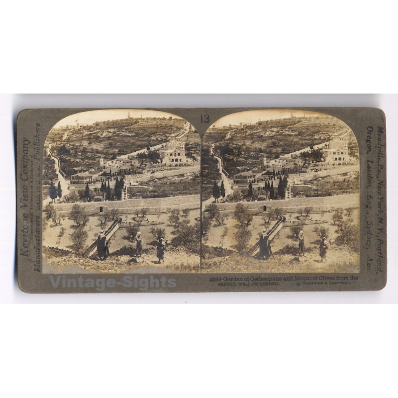 Jerusalem: Garden Of Gethsemane From Eastern Wall (Vintage Stereoscopic Photo 1900s)