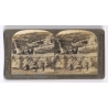 Jerusalem: Garden Of Gethsemane From Eastern Wall (Vintage Stereoscopic Photo 1900s)