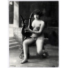 1920s Erotica: Curvy Nude Female With Harp / Boudoir - Risqué (Large Photo Reprint ~ 24x18CM)
