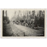 Breisach / WW2: RAD Arbeitsmänner - Westwall (9 Vintage Photos ca. 1937-1939)