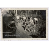 Breisach / WW2: RAD Arbeitsmänner - Westwall (9 Vintage Photos ca. 1937-1939)