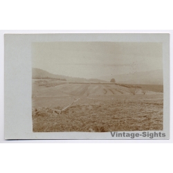 WW1: General v. Boehn 7. Armee Parade 1917 (Vintage RPPC)