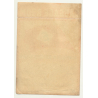American Export Lines / Baggage Room 'E' Class (Vintage Luggage Label)