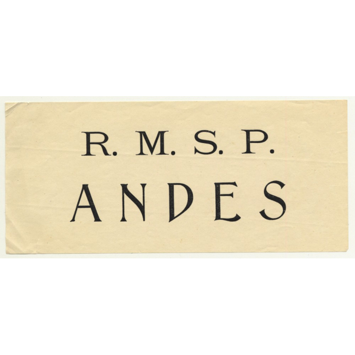 Royal Mail Ship: R.M.S.P. Andes (Vintage Luggage Label)