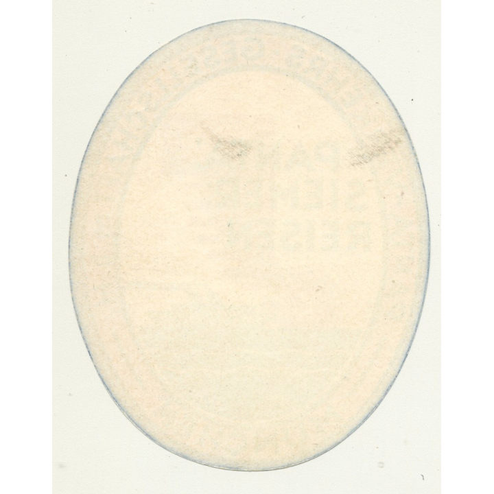 Panta Siemer Reisen / Panta-Verkehrs-Gesellschaft m.b.H. (Vintage Luggage Label)