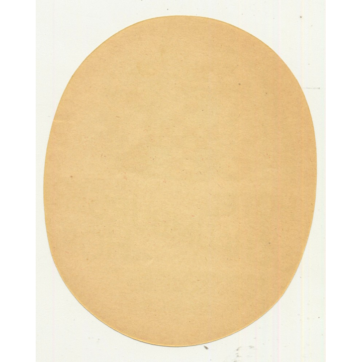 Hotel Schaumburger Hof - Bad Godesberg Am Rhein / Germany (Vintage Luggage Label)