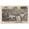 Senegal: Young Shepherds Milking Goat / Nomad - Ethnic (Vintage PC 1900s)