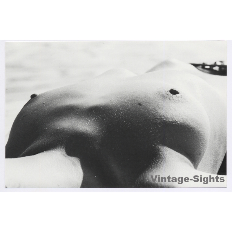 Artistic Erotic Study: Slim Semi Nude Female Sunbathing*2 (Vintage Photo ~1980s/1990s)