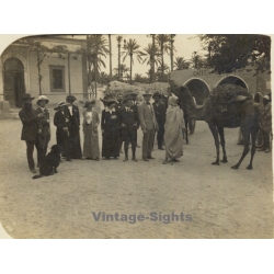 Tripolis?: Colonial Society In Front Of Caffe Orientale? (Vintage RPPC ~1910s)