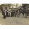 Tripolis?: Colonial Society In Front Of Caffe Orientale? (Vintage RPPC ~1910s)