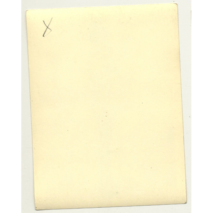 Topless Woman Wears Translucent  Lingerie / Nipple (Vintage Photo B/W ~1940s/1950s)