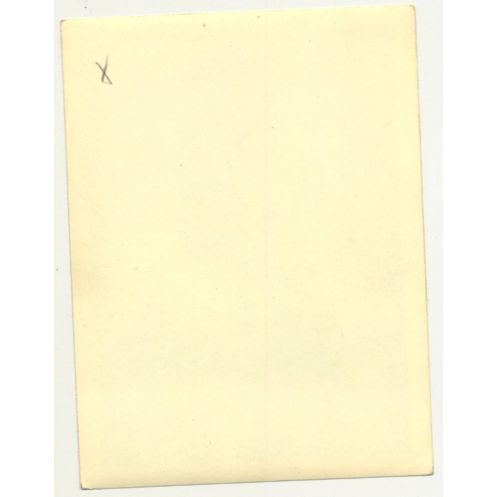 Brunette Nude With Stockings & Suspenders / Interior (Vintage Photo B/W ~1940s/1950s)