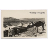 Tripolitana Italiana: Nomads In Front Of Tents - Chaima / B.Liotti (Vintage RPPC ~1910s/1920s)